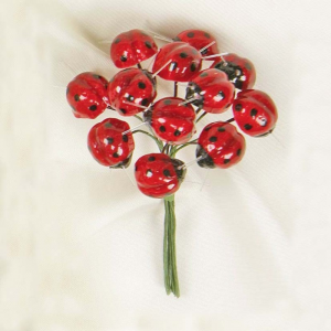 COCCINELLA PZ 144 dm 1,5 cm