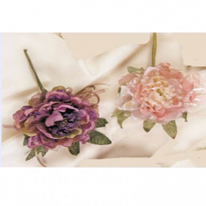ROSA GRANDE MULTIPETALI