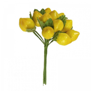 LIMONE CON FOGLIA PZ 144