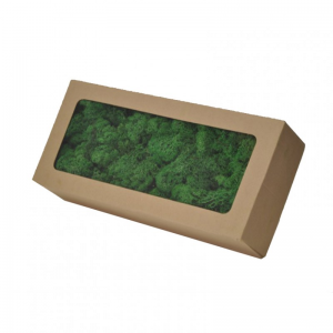 LICHENE conf.1KG - apple green