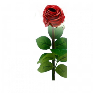 ROSA IBISCUS h55 CM RO -rosso *