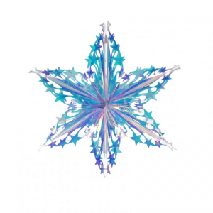 FIOCCO NEVE PLAST.DA APP.D60CM-iridescen