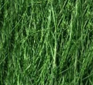 SISAL GR. 250 - verde abete *