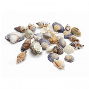 CONCHIGLIE MIX SMALL KG 1
