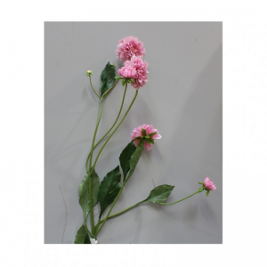 DAHLIA H100 cm SI - pink