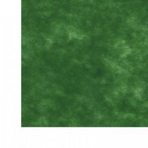 ROTOLO TNT50 HCM100X20MT-verde bott.