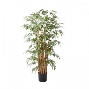 PIANTA BAMBOO H145 CM PN *