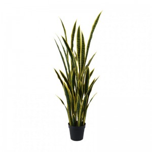 PIANTA SANSEVERIA C/VASO H138 PN-yellow*