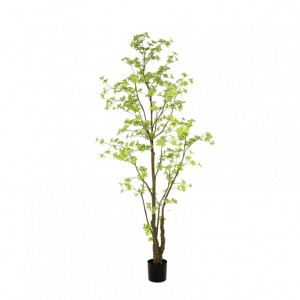 PIANTA NASTURZIO H270 cm PN *