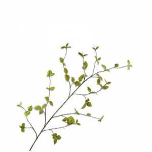 FOGLIA ramo H160cm SI - green