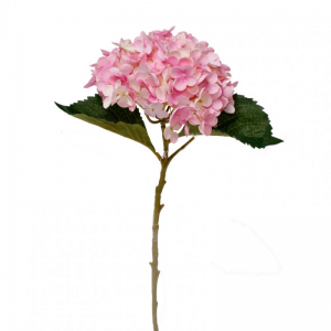 ORTENSIA H50 cm OR -pink*