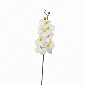 ORCHIDEA PHAL. H104 cm OR -white *