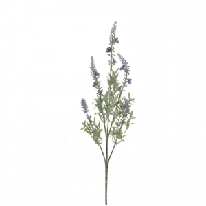 LAVANDA BUSH X5 H61 cm LA -lavender *
