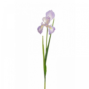 IRIS real touch H55 IR - lilac *