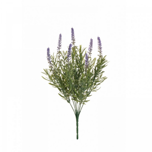 LAVANDA BUSH X7 H39 LA  - lavender *